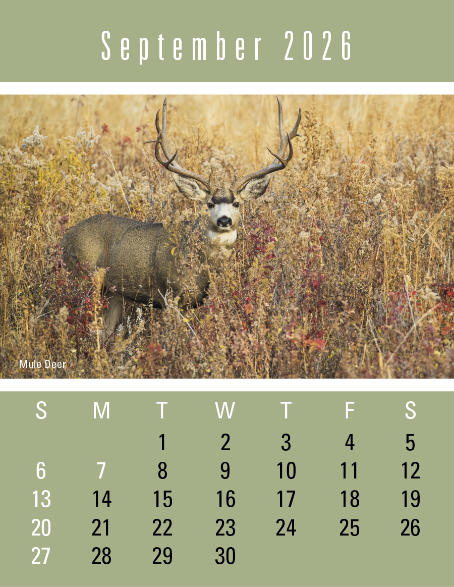 Press-N-Stick Sportsmen Calendar