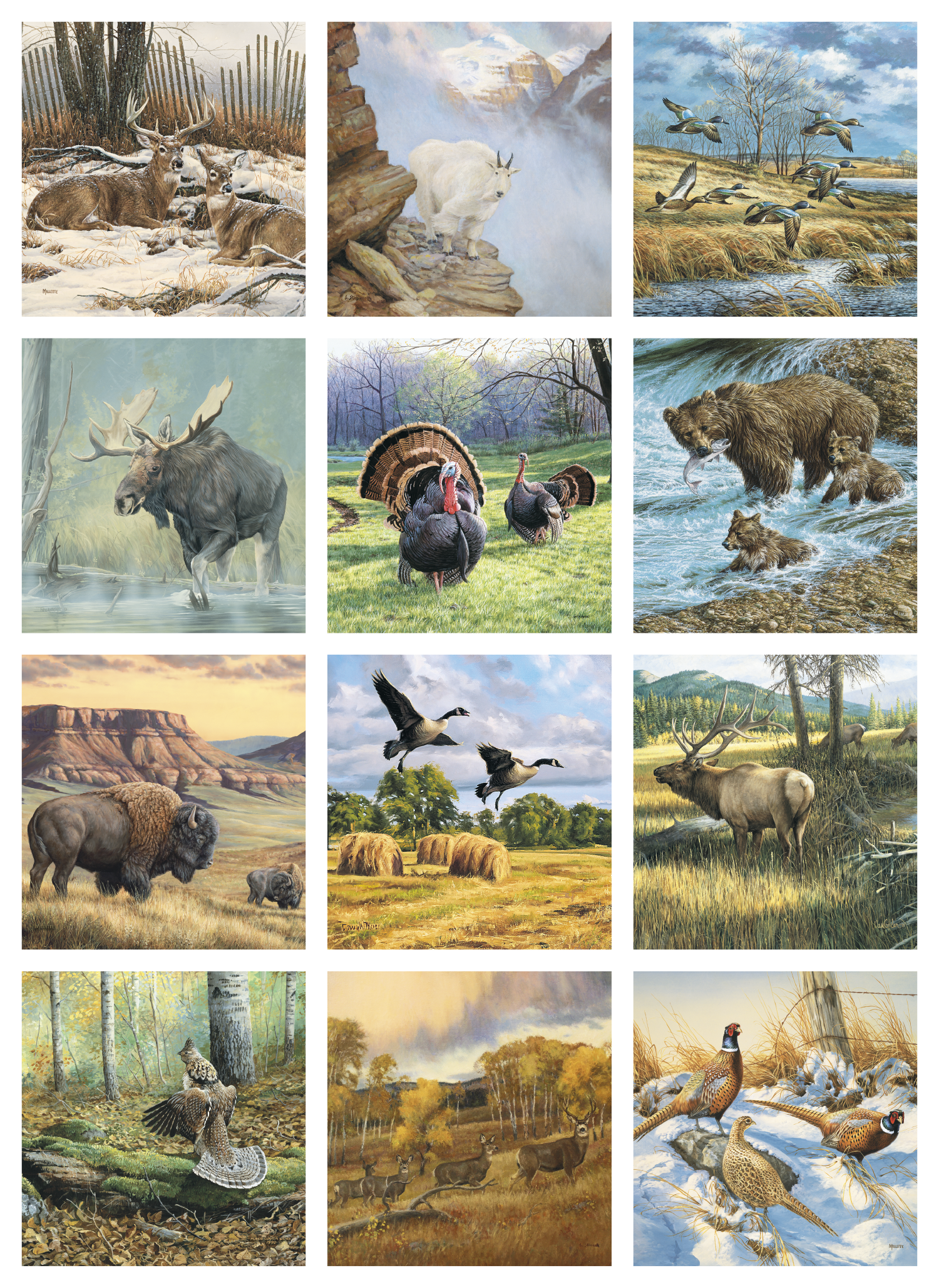 Triumph® Calendars Wildlife Art Calendar 61