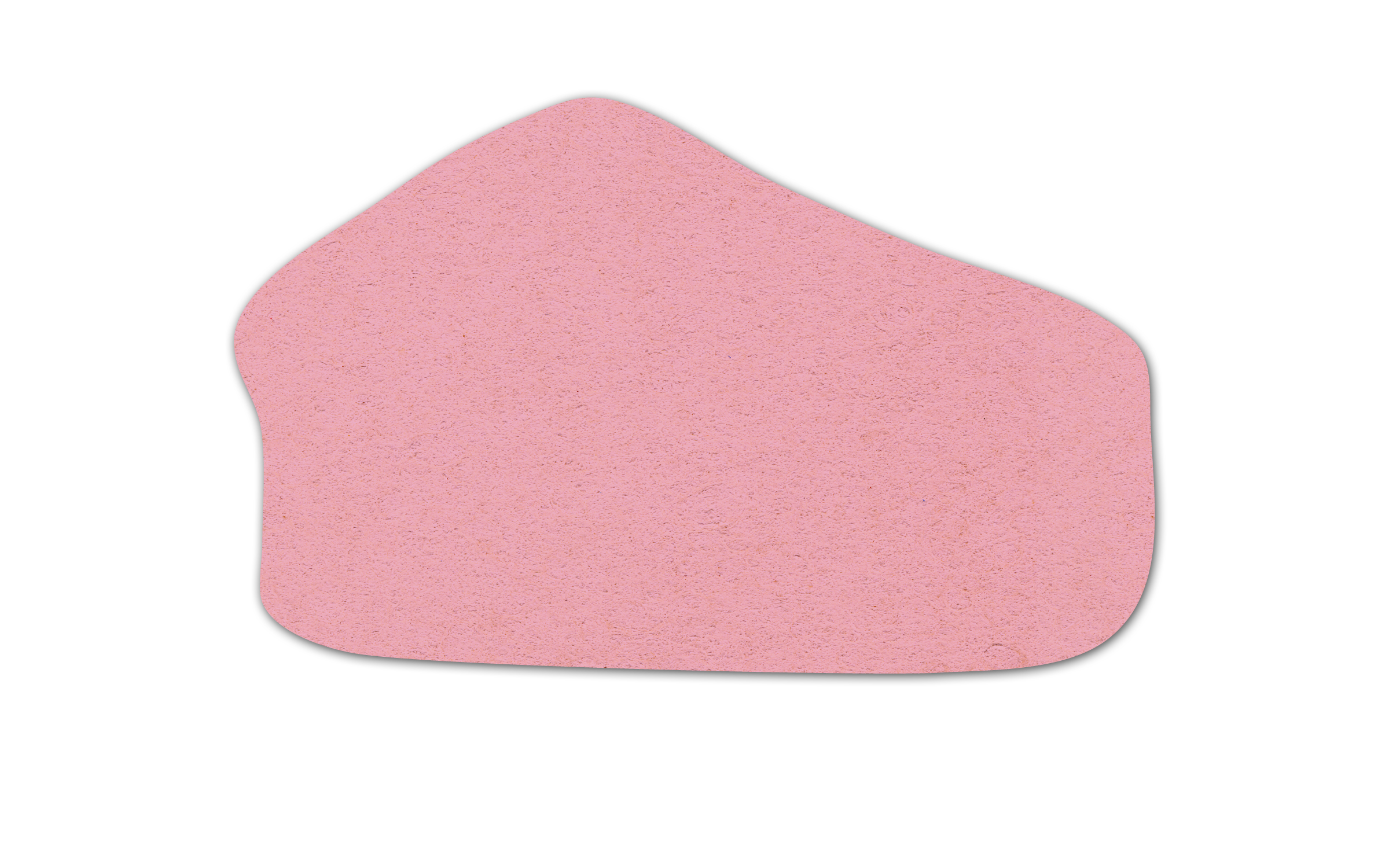 Pizza/pie Compressed Sponge 6