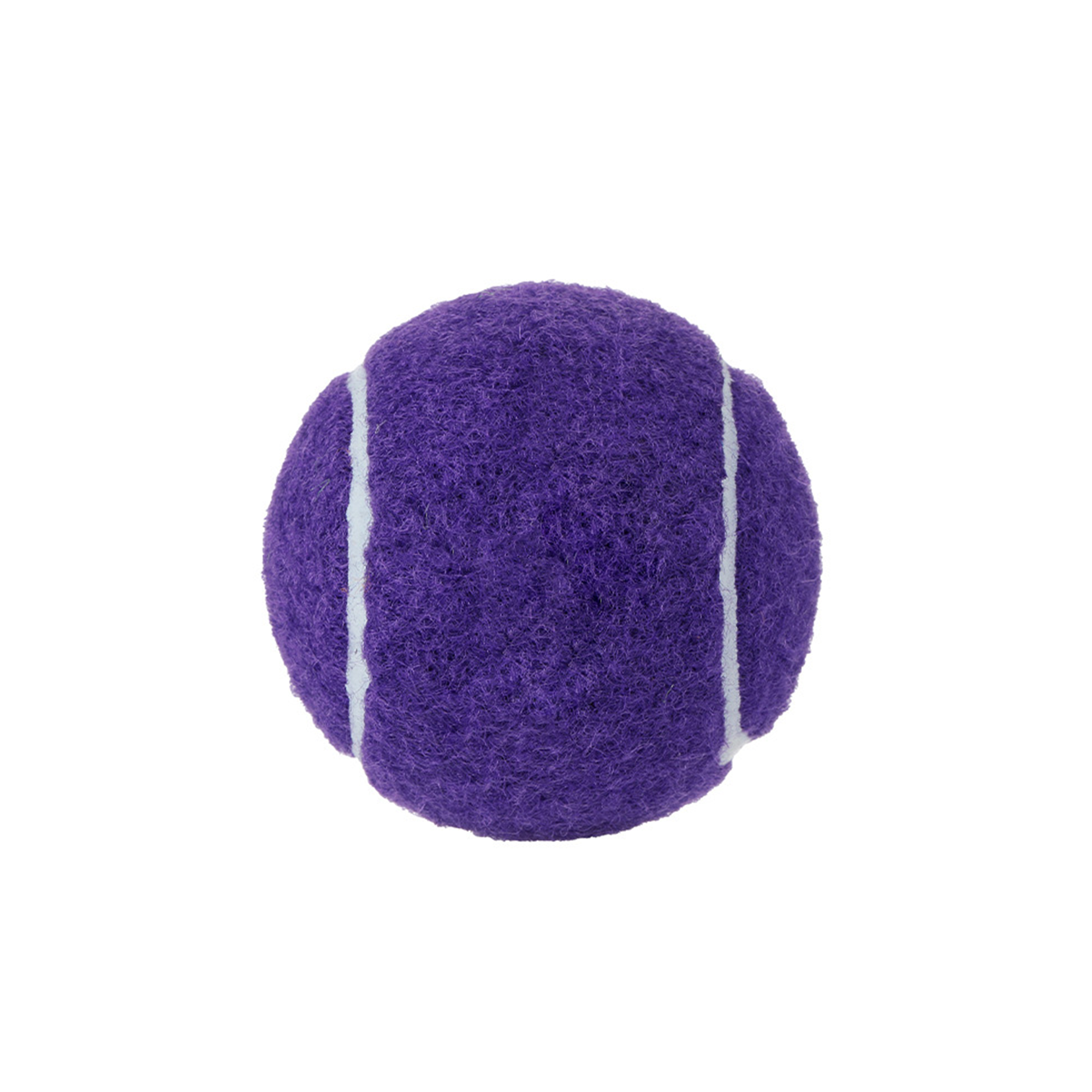 Training Fetch Rubber Felt Ball 2.5" 10