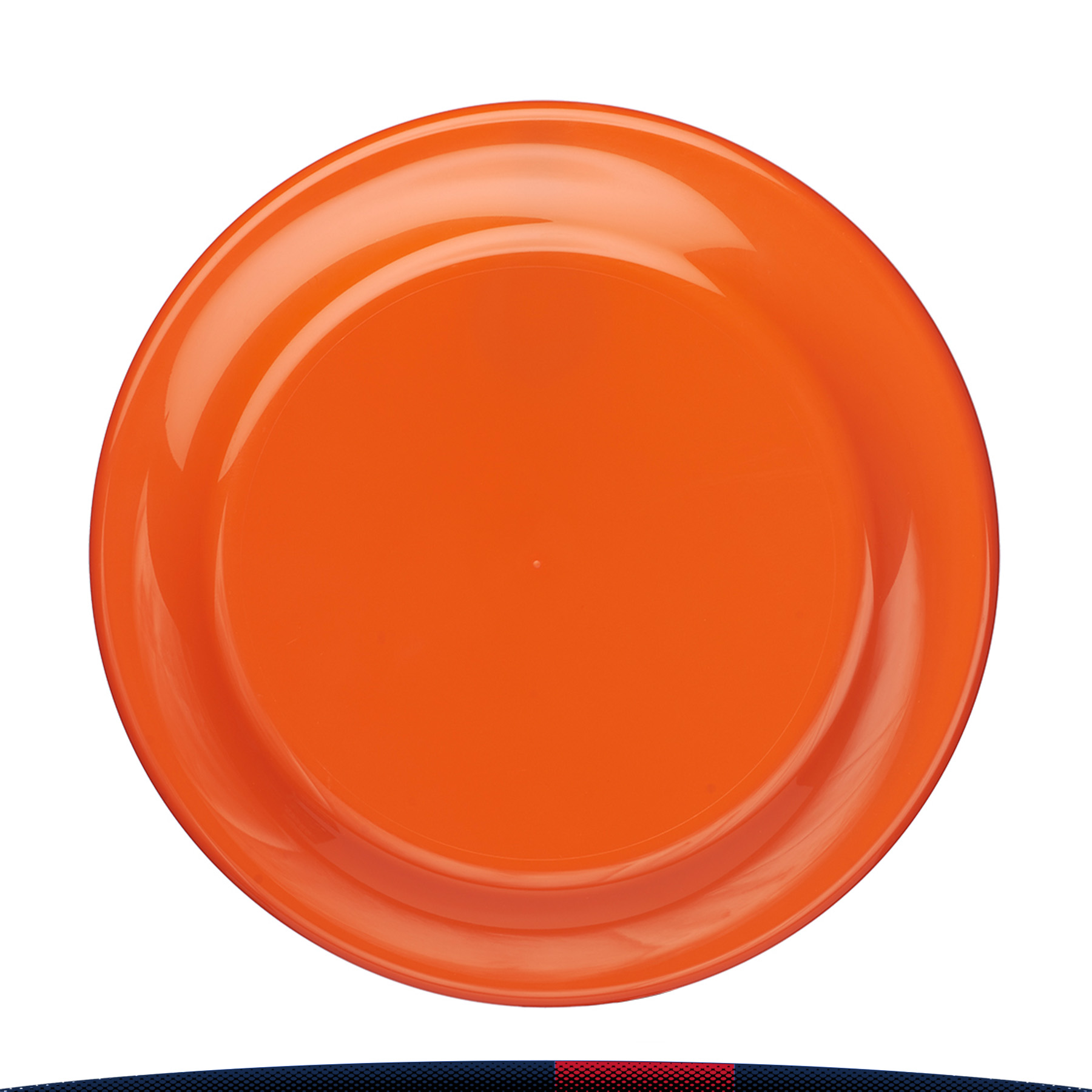Eilee Flying Discs 10