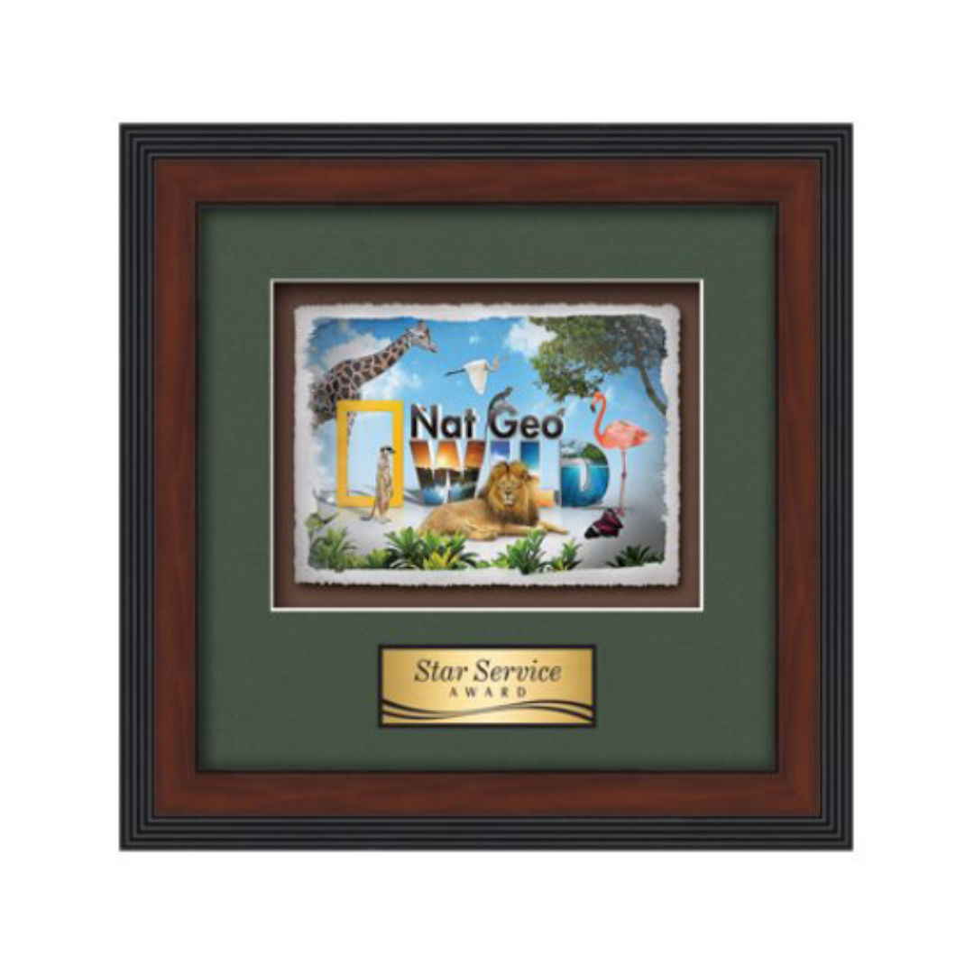 Jasper -  Dark Walnut