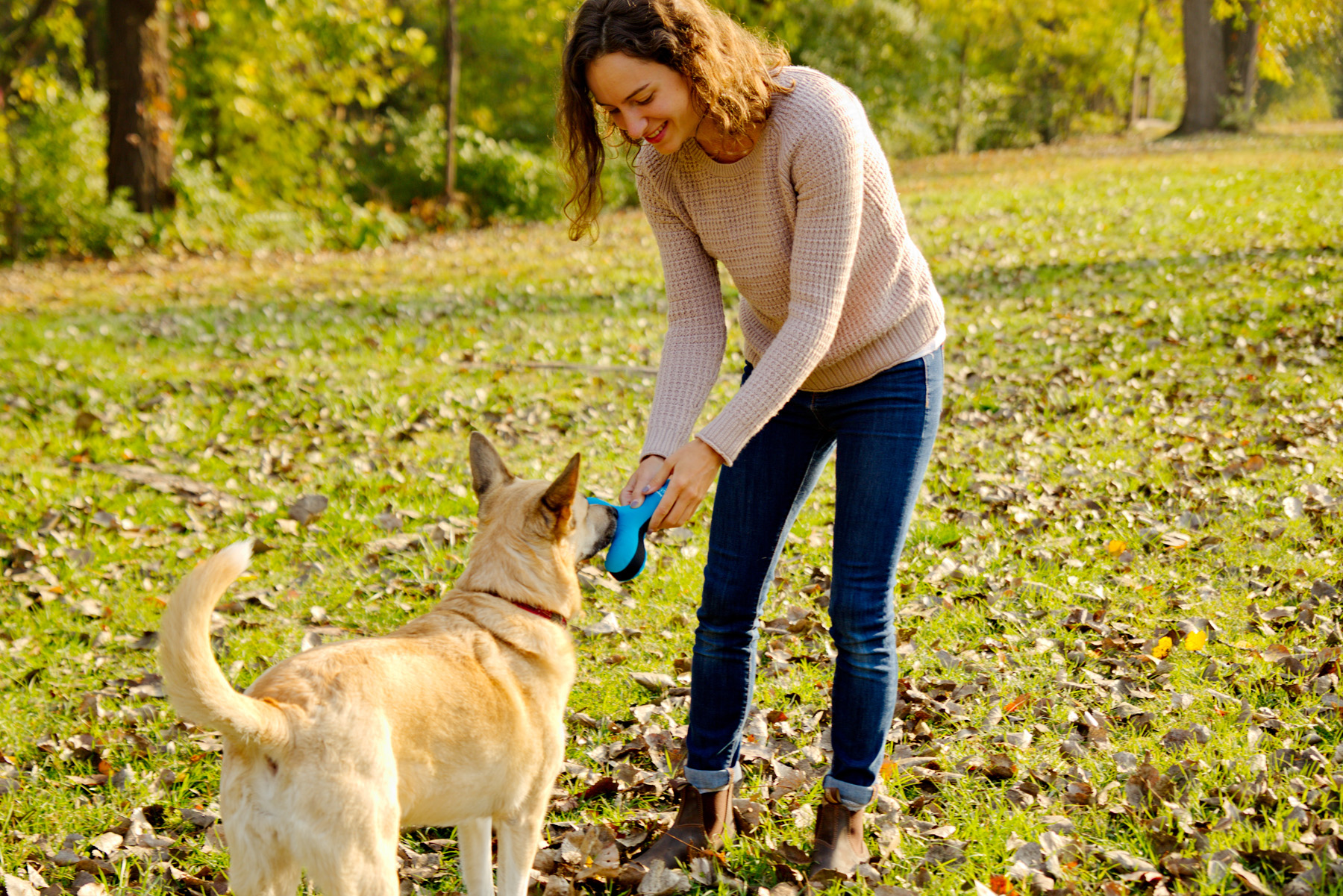 Toss-N-Float Dog Toy 5