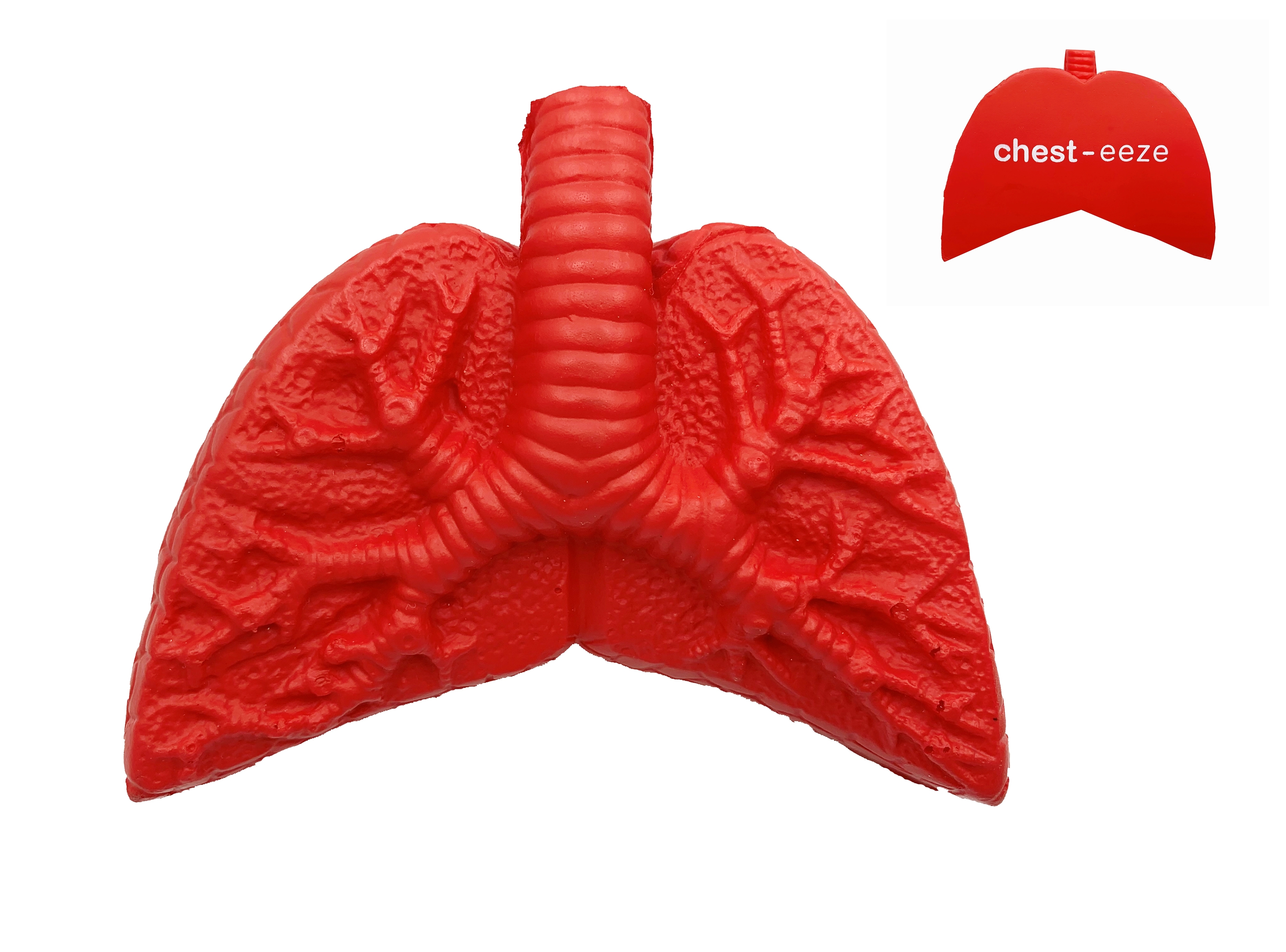 Lung Shape Stress Ball 2