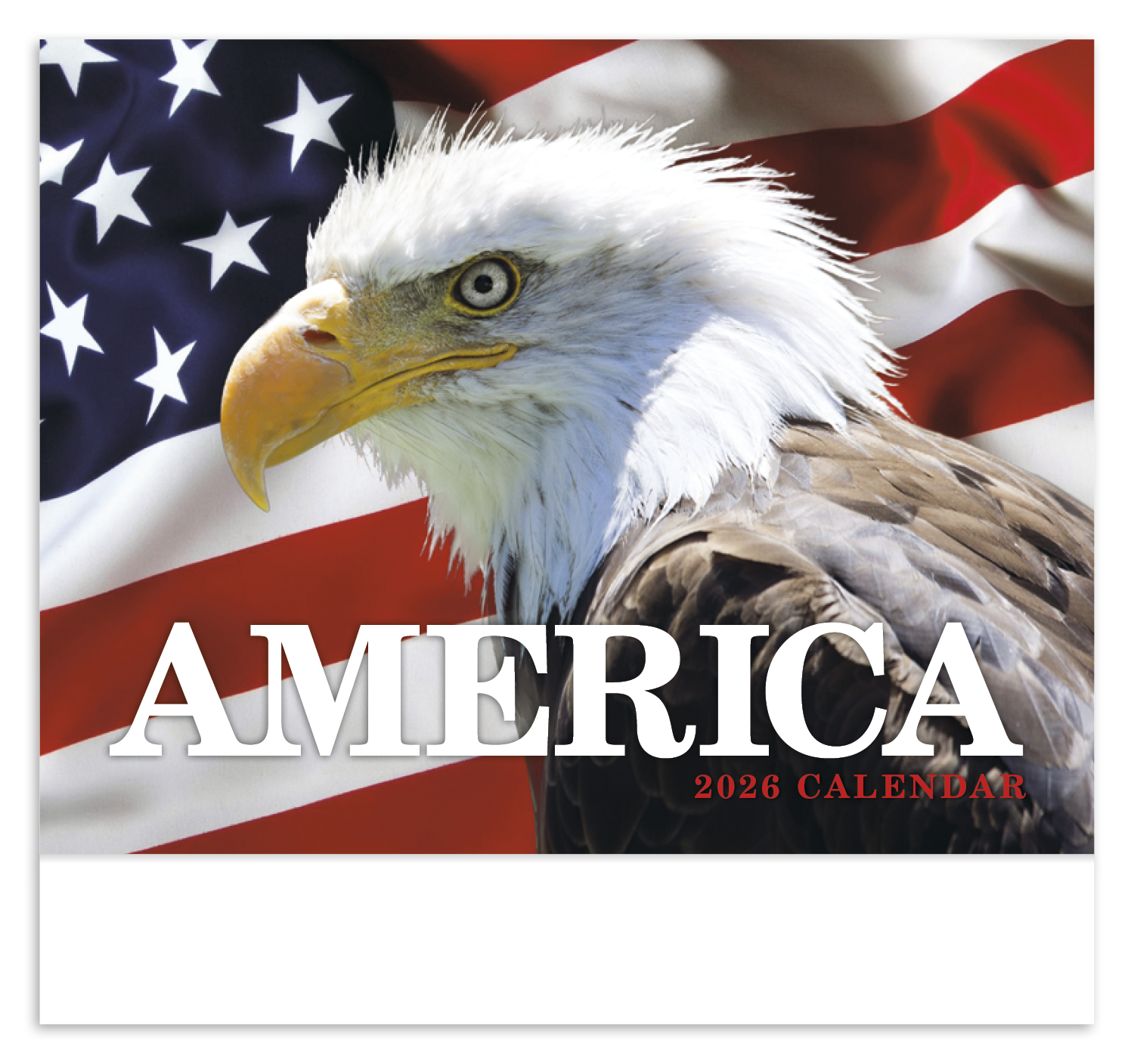 HotLine® Products America Appointment Calendar - Stapled 12