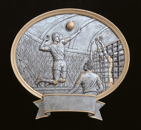 Volleyball Male Legend Plate 2