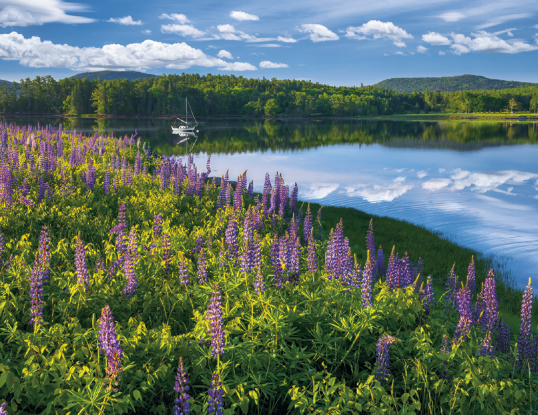 Triumph® Calendars New England Calendar 31