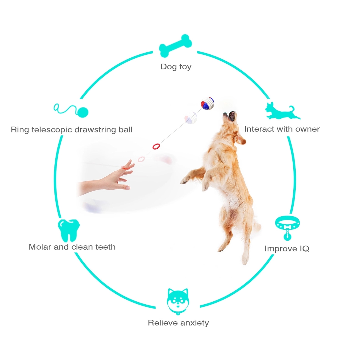 Dog Chew Ball For Aggressive Chewers 4