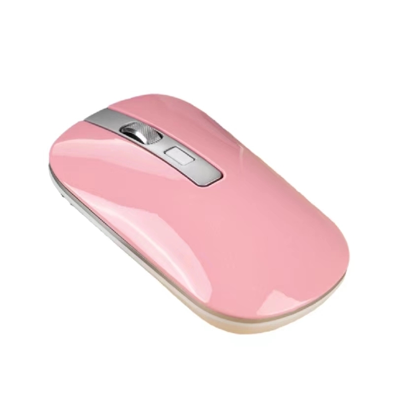 Chargeable Wireless Mouse 5