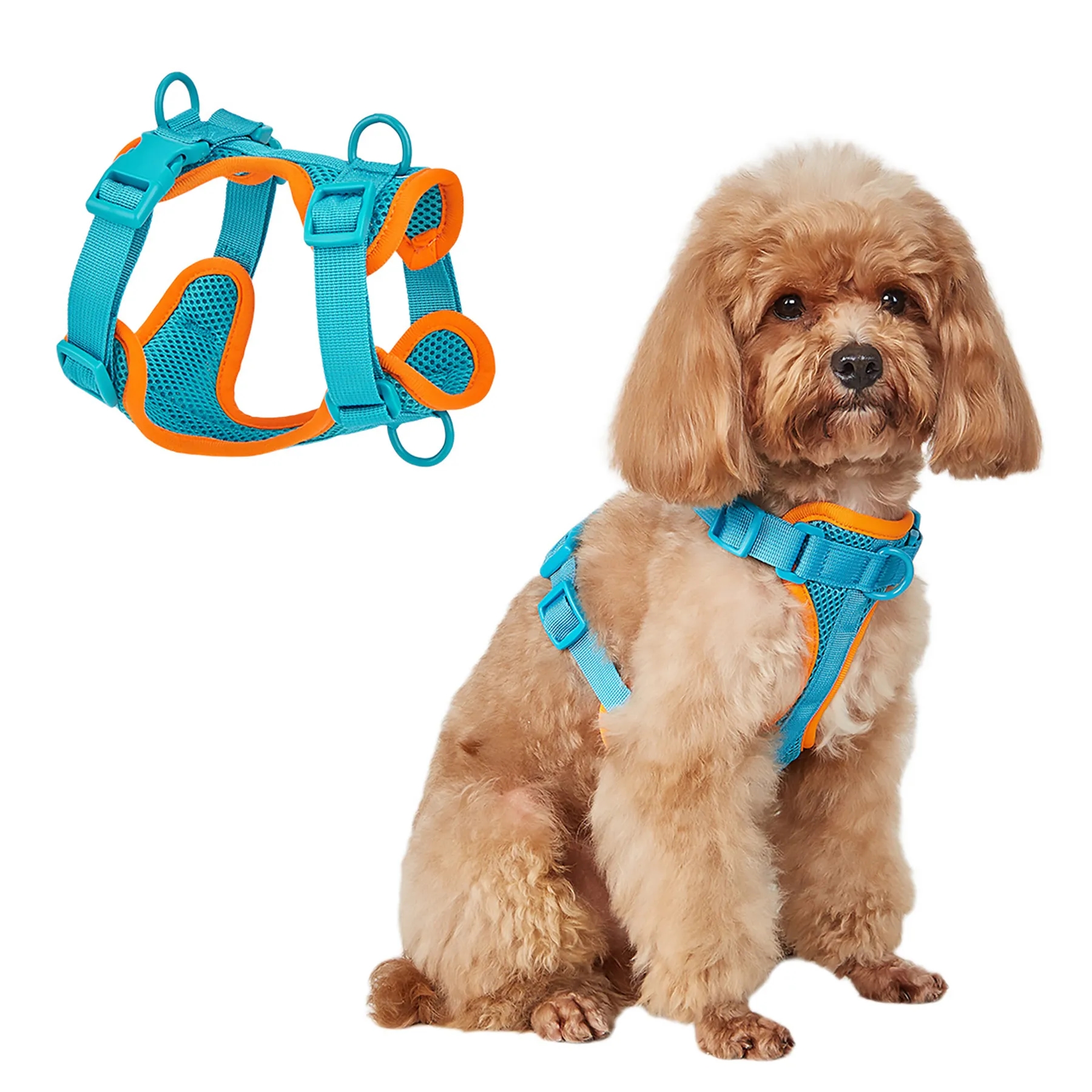 Polyester Small Dog Pet Harness With Leash 3