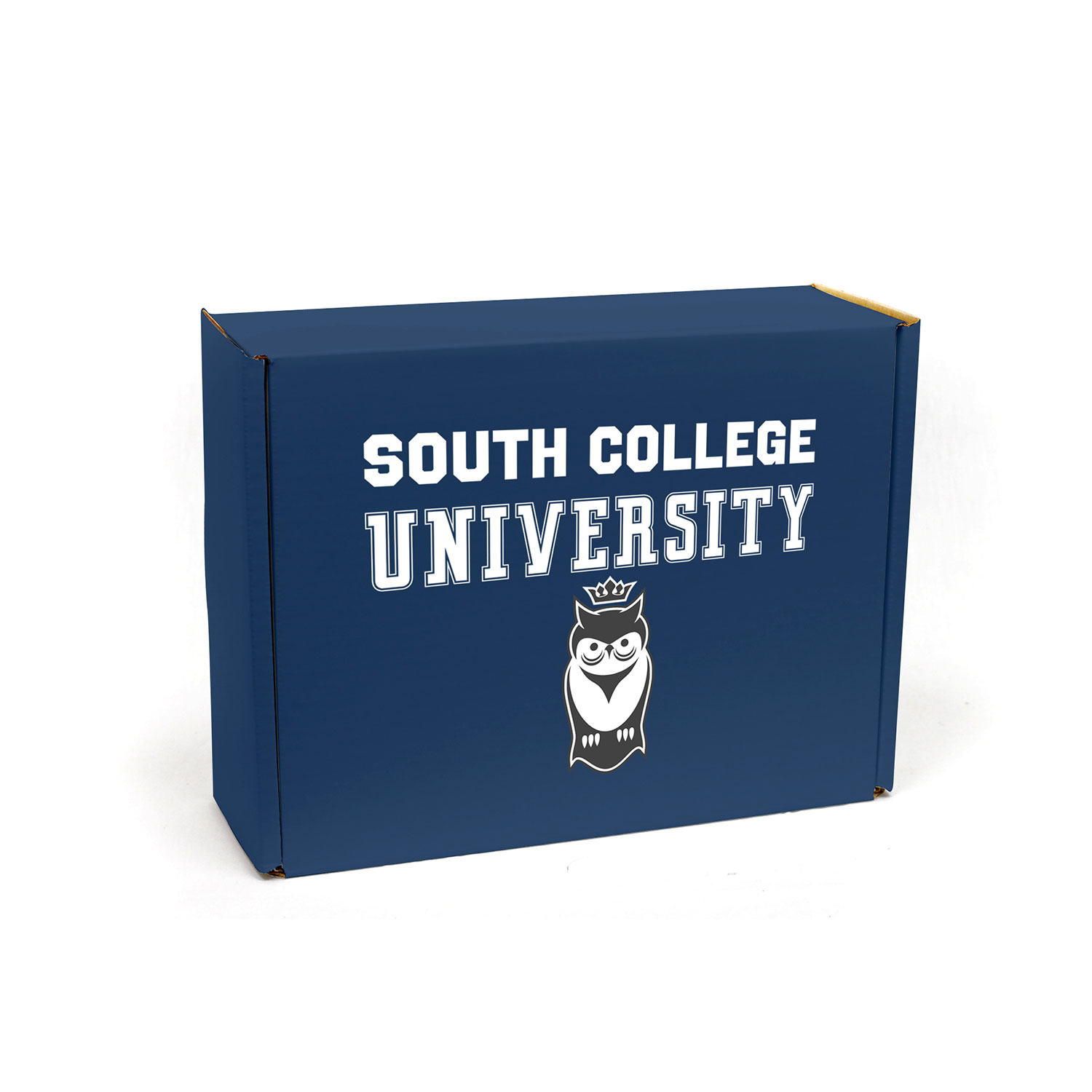 The Snack-Pack Box 11