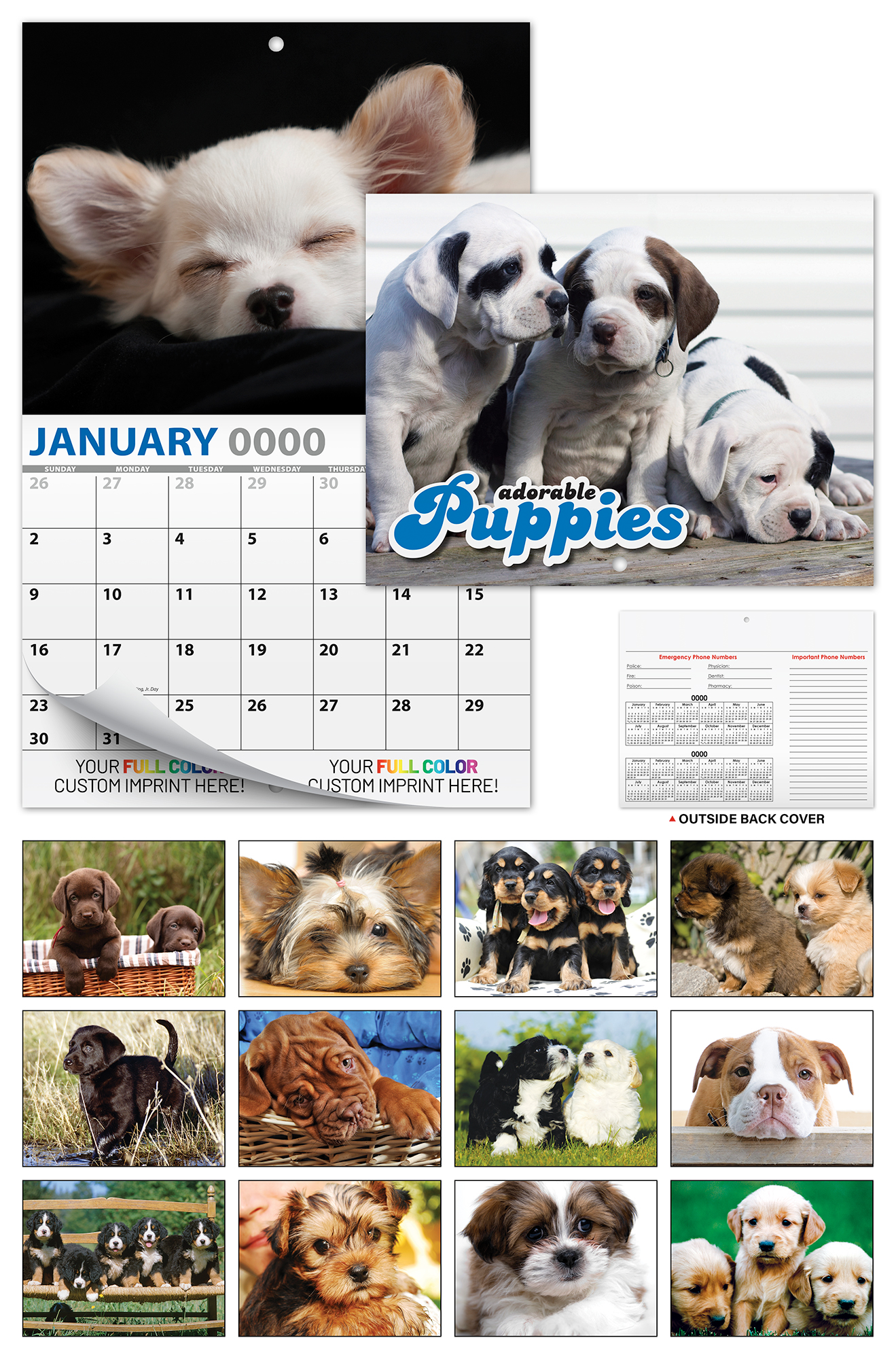 13 Month Custom Appointment Wall Calendar (High Gloss UV-Coated Cover)- PUPPIES 3