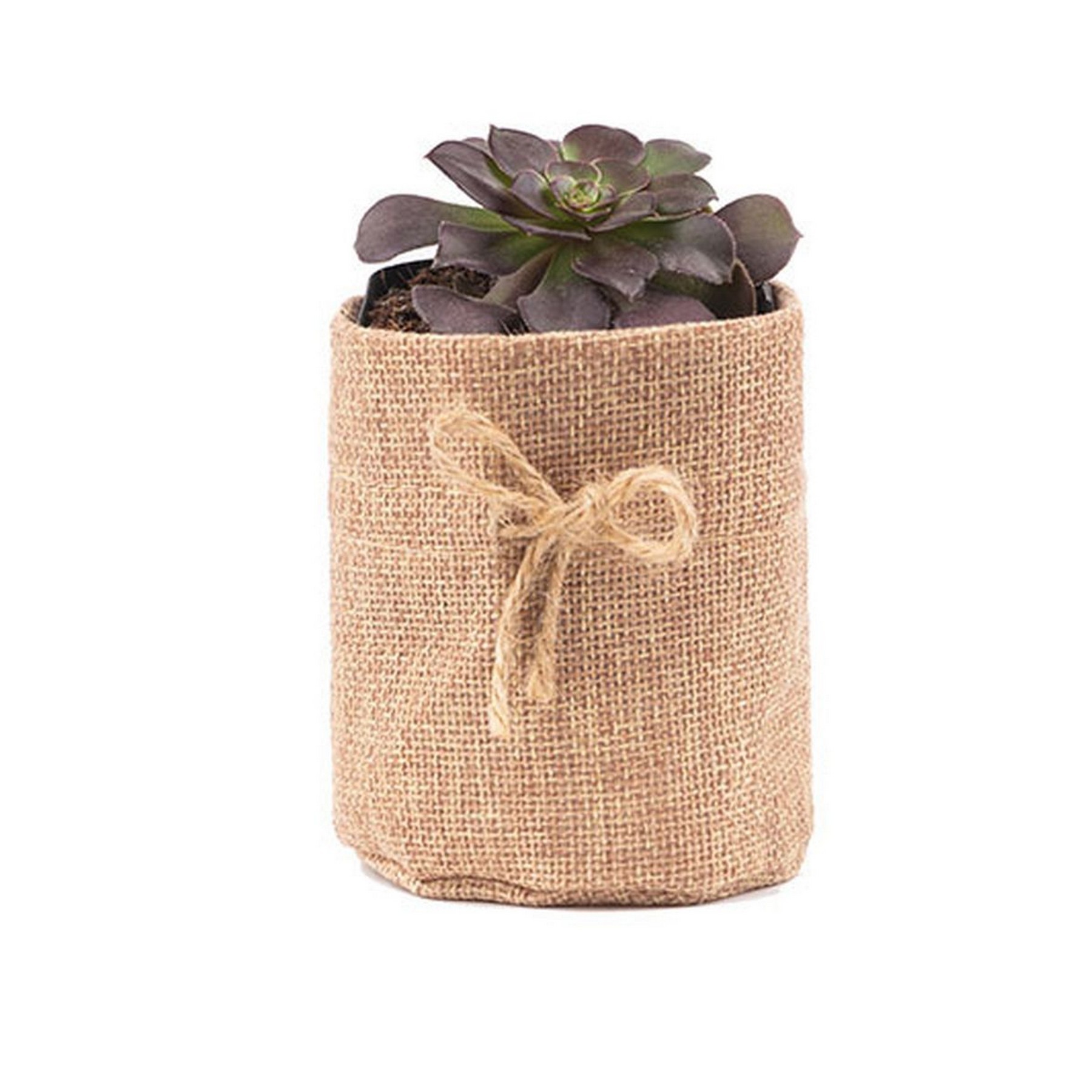Seedling Plant Grow Bag Succulent Pot Burlap Nursery Pouches 6