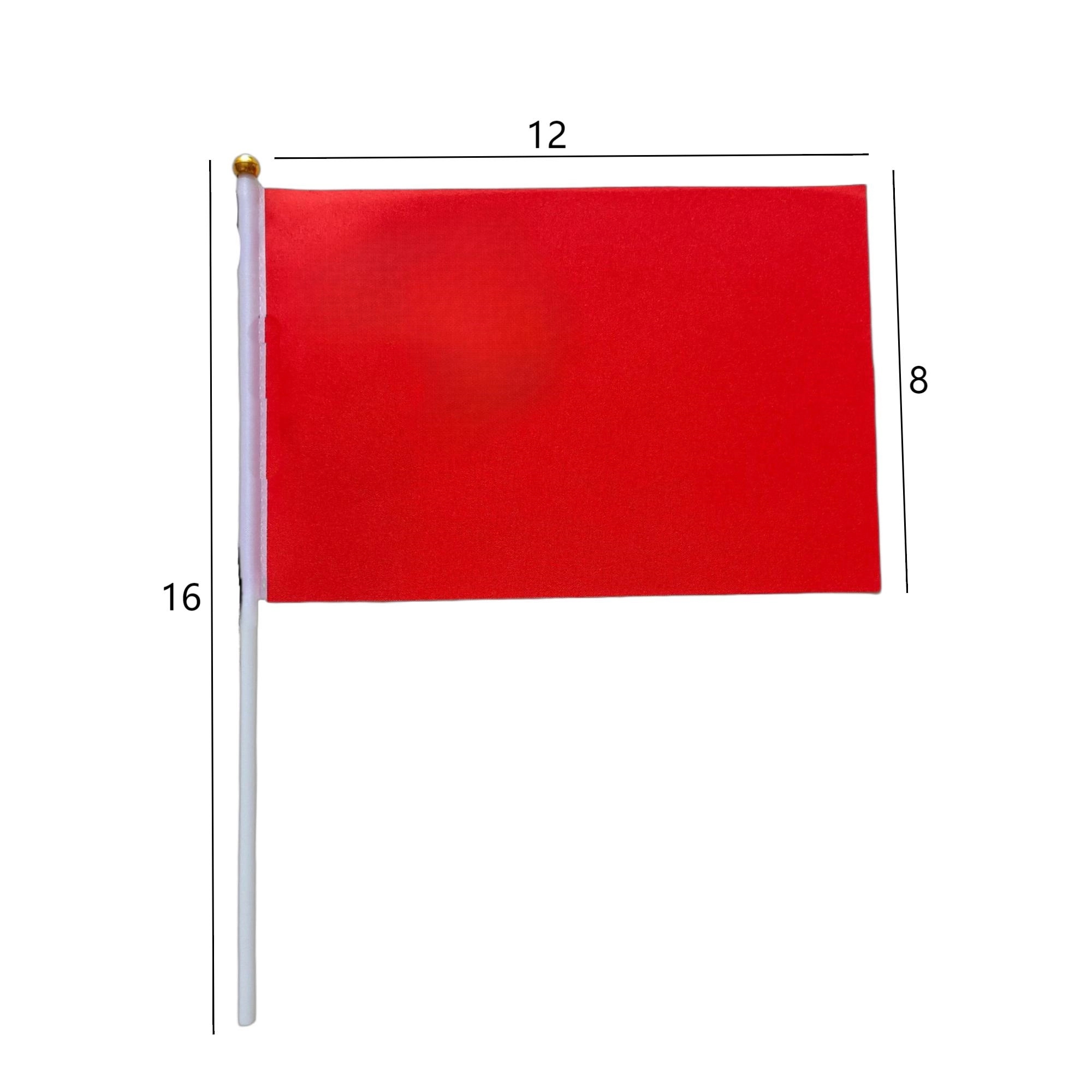 MOQ 50 Full Color Mini Parade Flag With Plastic Stick 2