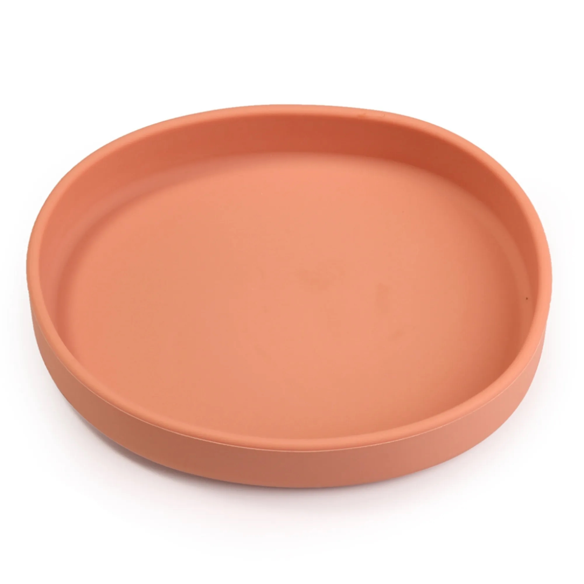 Baby-Friendly Silicone Sectioned Plate 6