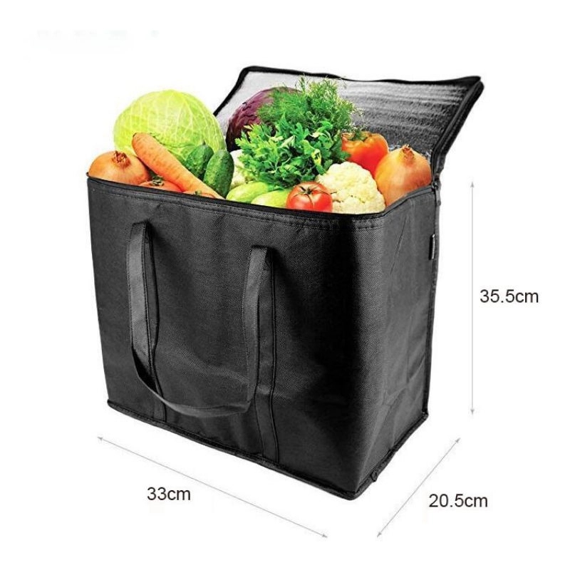 Collapsible Non Woven Insulated Cooler Bag 2