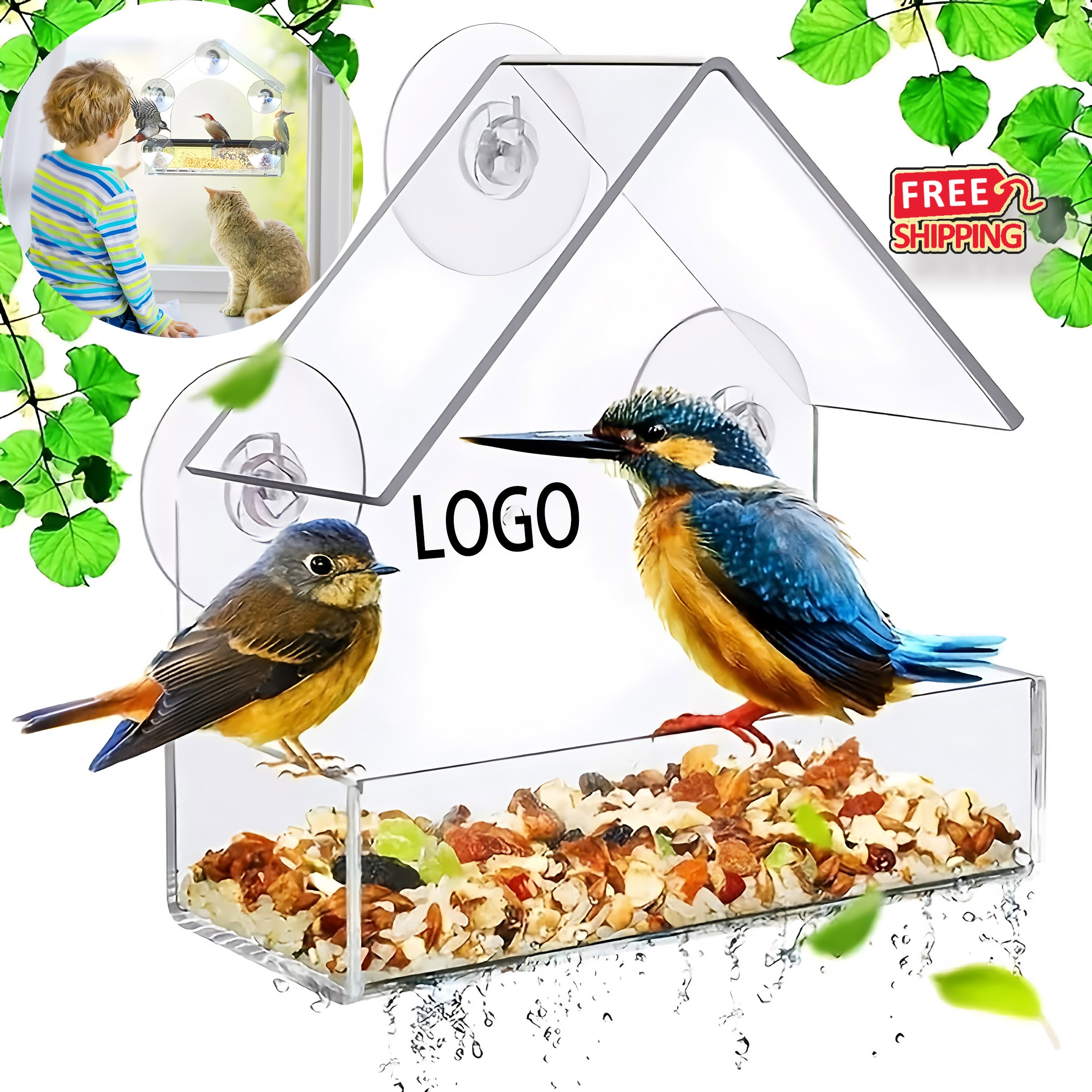 Window Bird Feeder with Suction Cups 4