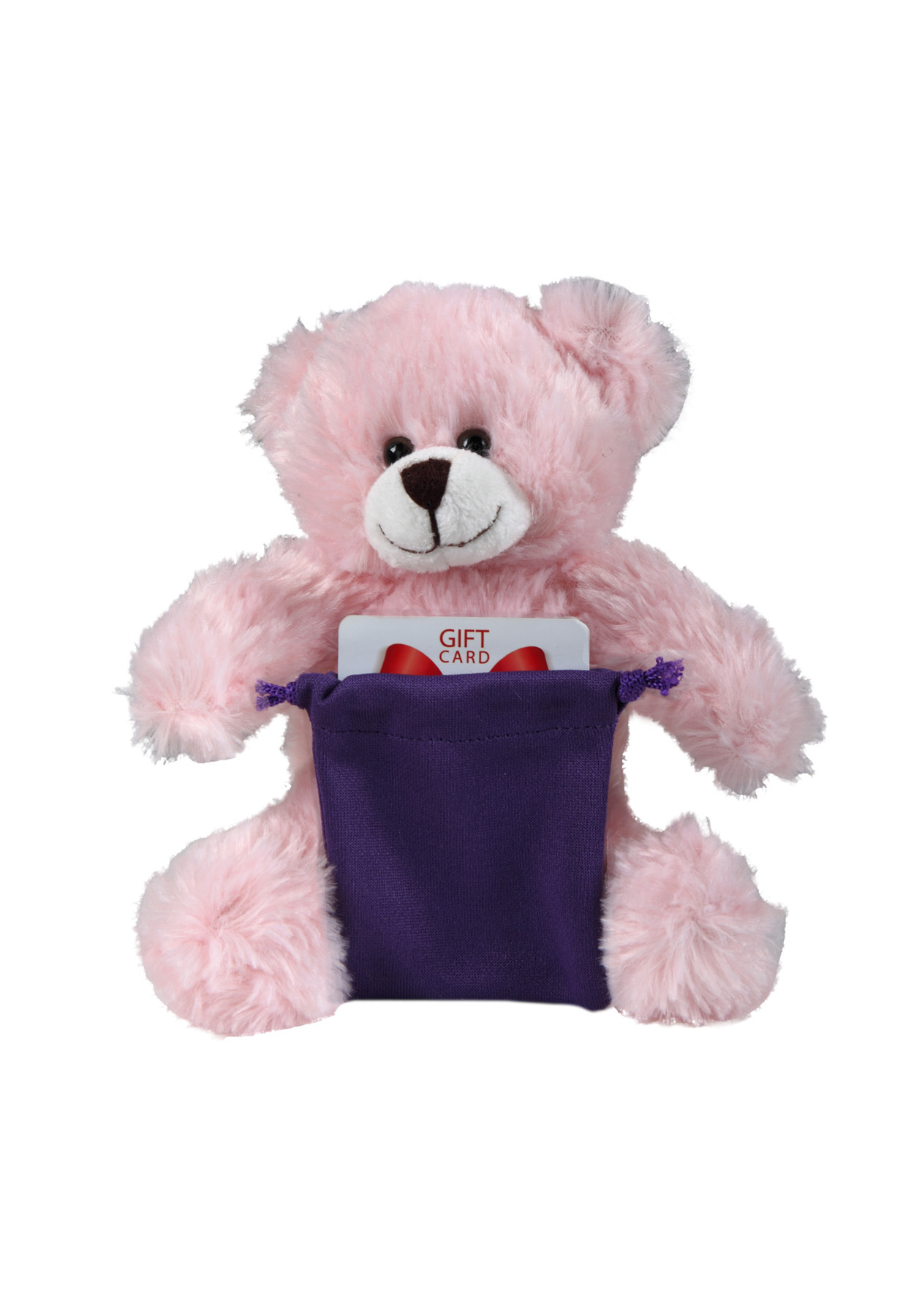 soft plush Pink Bear with gift card sack