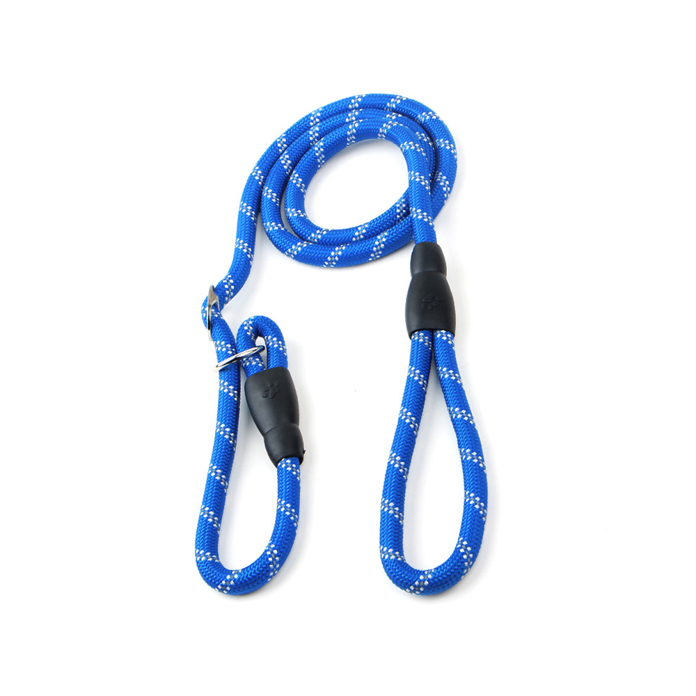 Pet Leash 7