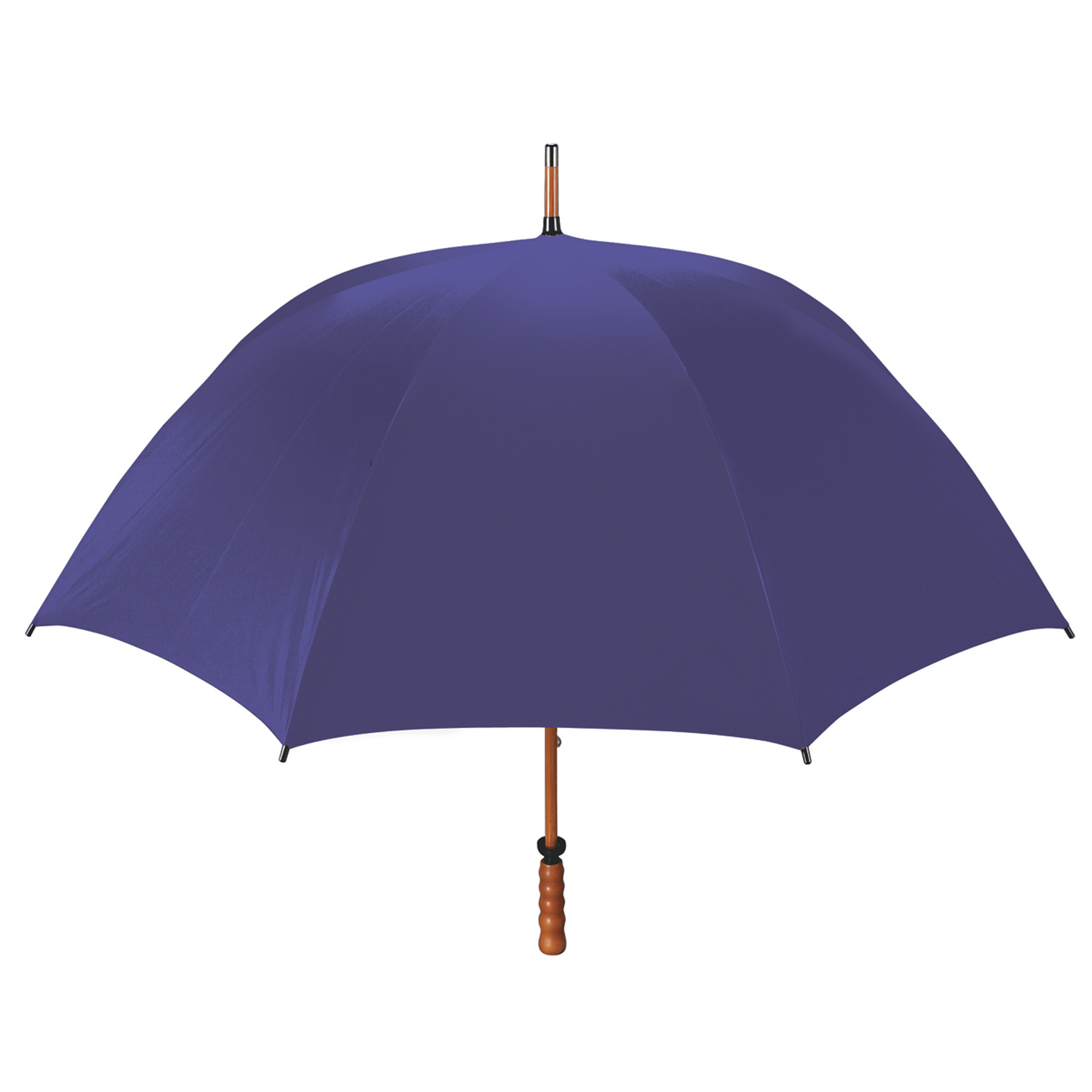 The Eagle Umbrella 49