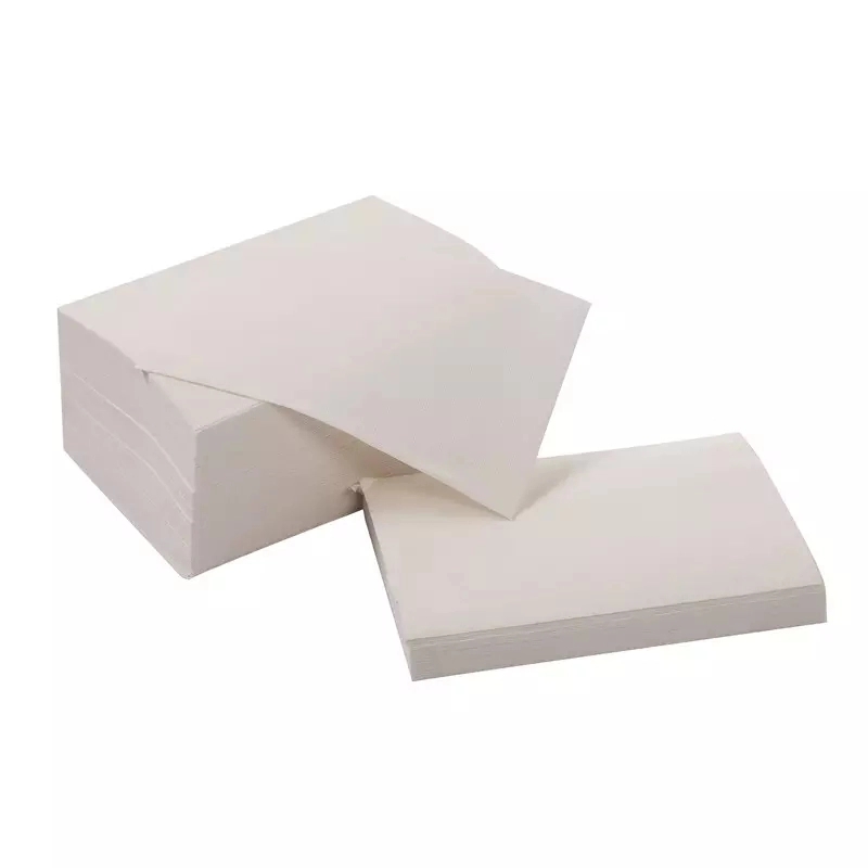 Custom Disposable 2-Ply White Dinner Napkins 6