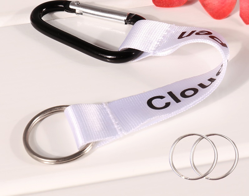 Carabiner Lanyard Keychain 6