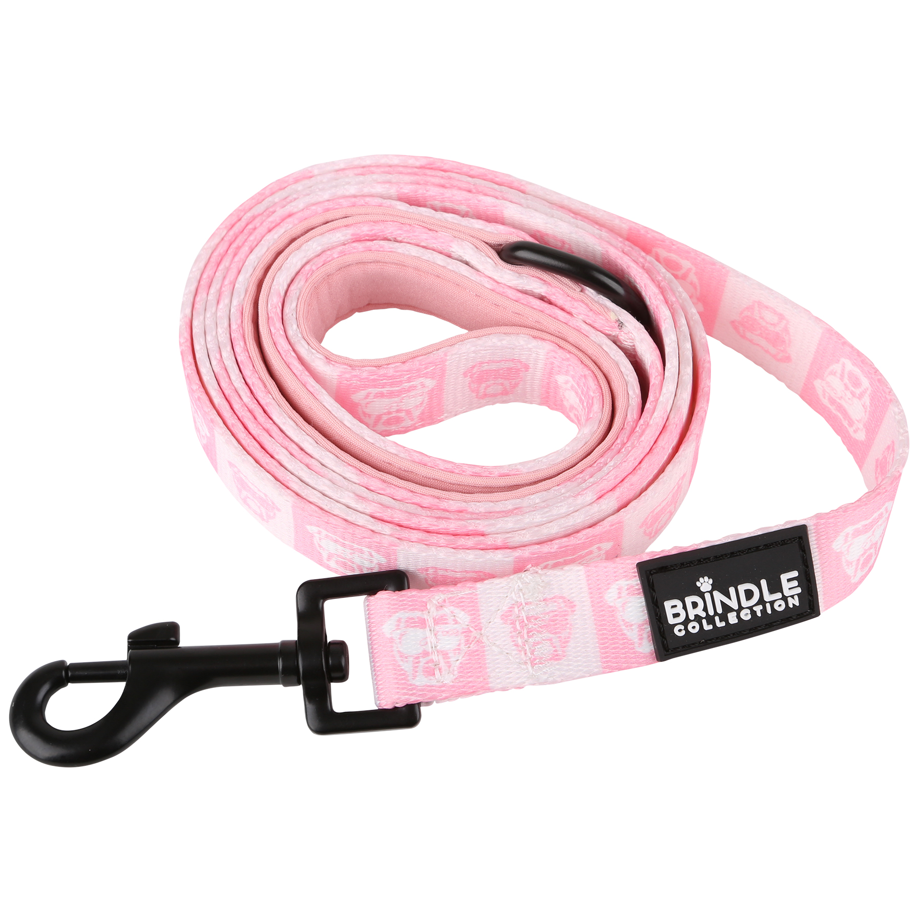 Dog Leash With Neoprene Backing: Narrow 1