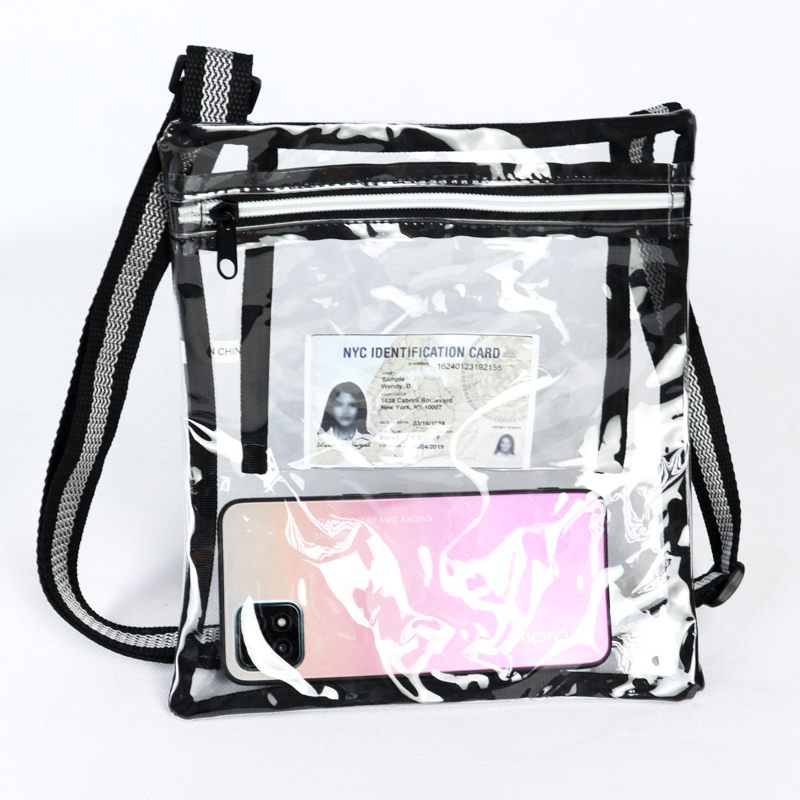 Eco Friendly Clear Purse/ Satchel 1