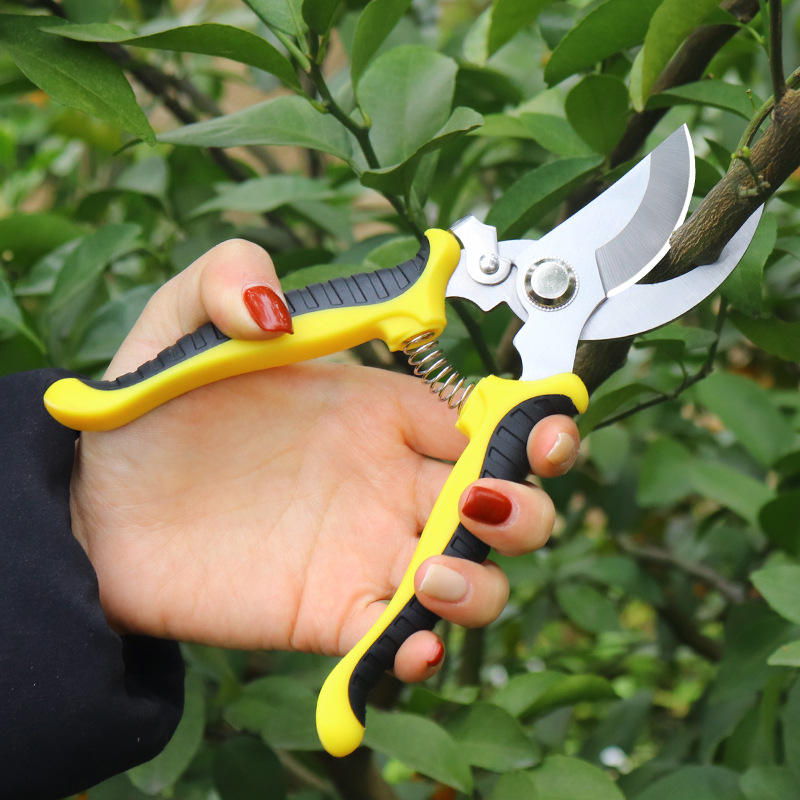 Heavy Duty Stainless Steel Pruning Scissors 3