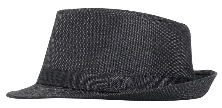 OTTO CAP Fedora 2