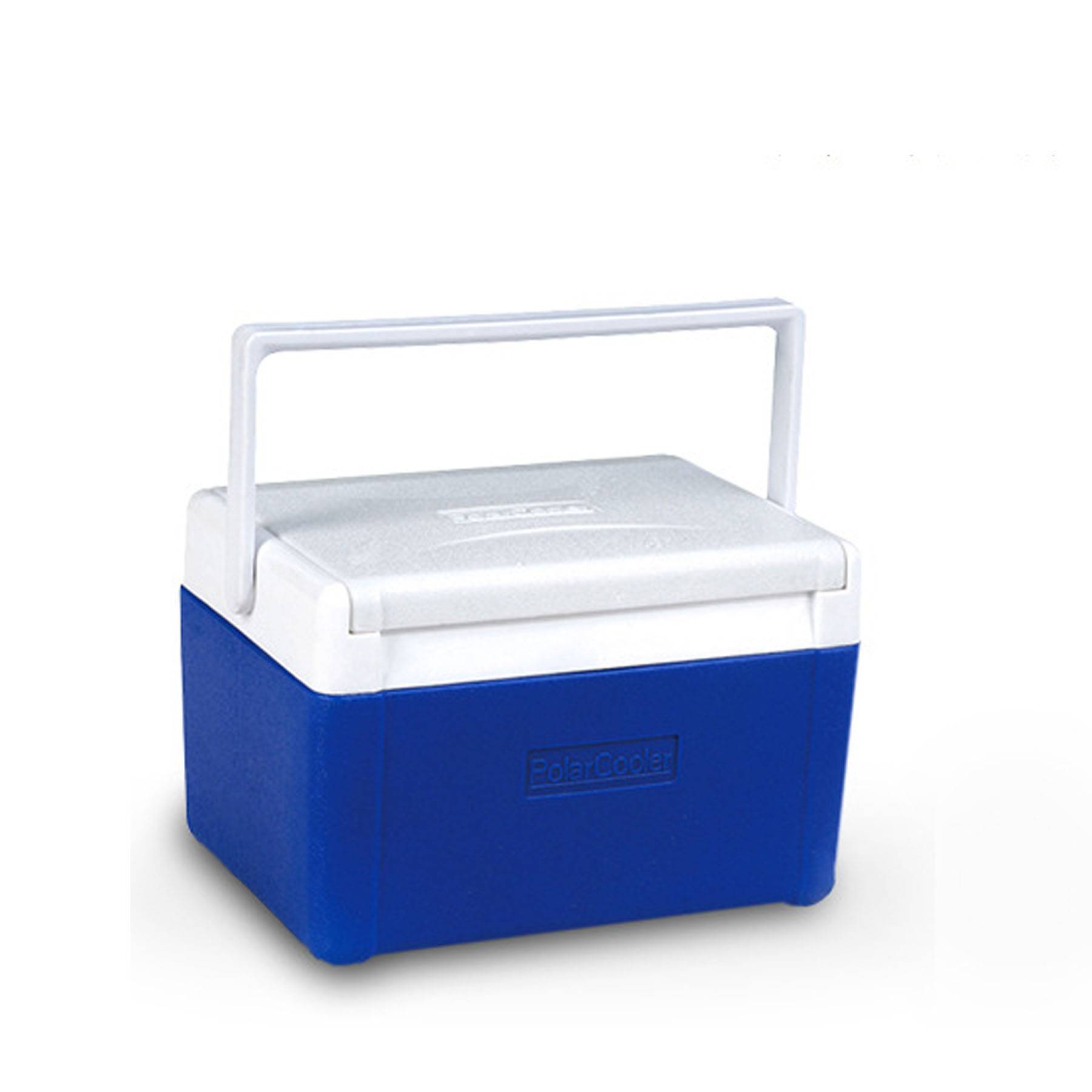 5L dual-use hot & cold insulation box 3