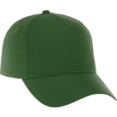 Unisex DOMINATE Ballcap 501