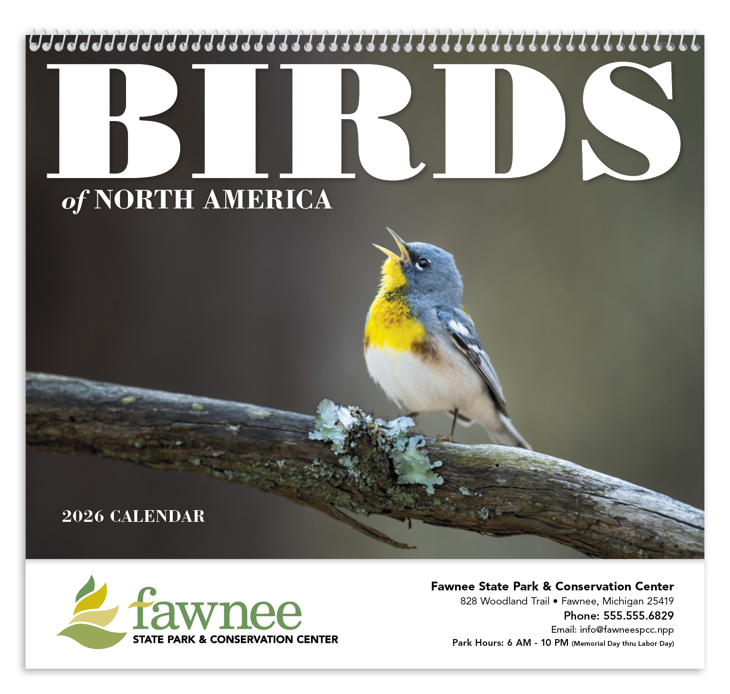 Good Value™ Birds of North America - Spiral Calendar 34