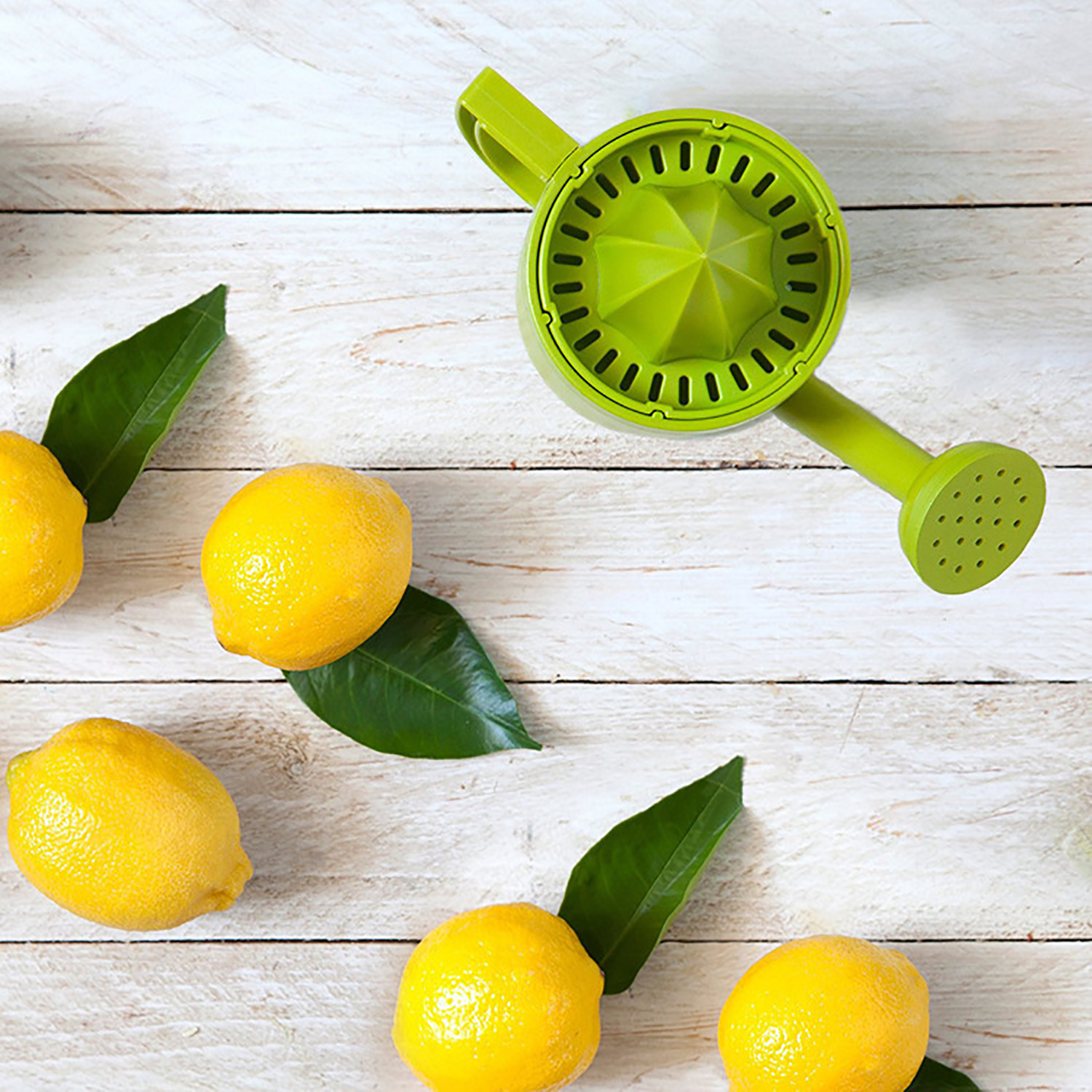 2-in-1 Watering Can-Shaped Manual Juicer 4