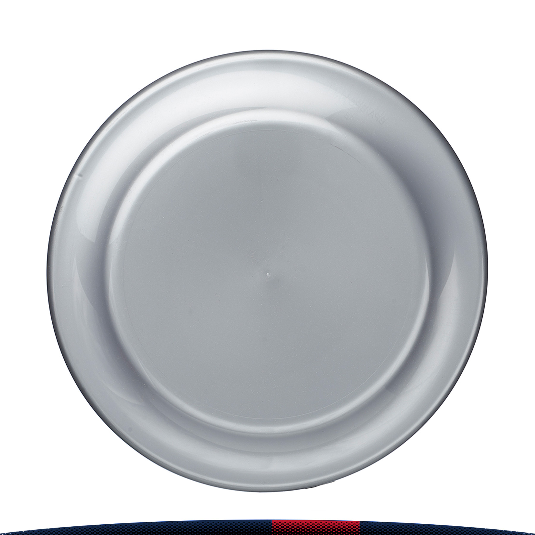 Eilee Flying Discs 12