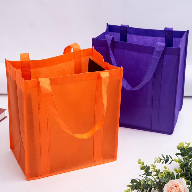 Non Woven Shopping Bag 17