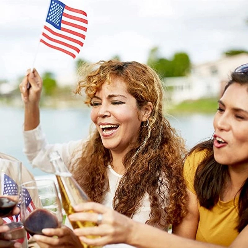 American Handheld Flags With Plastic Stick 4