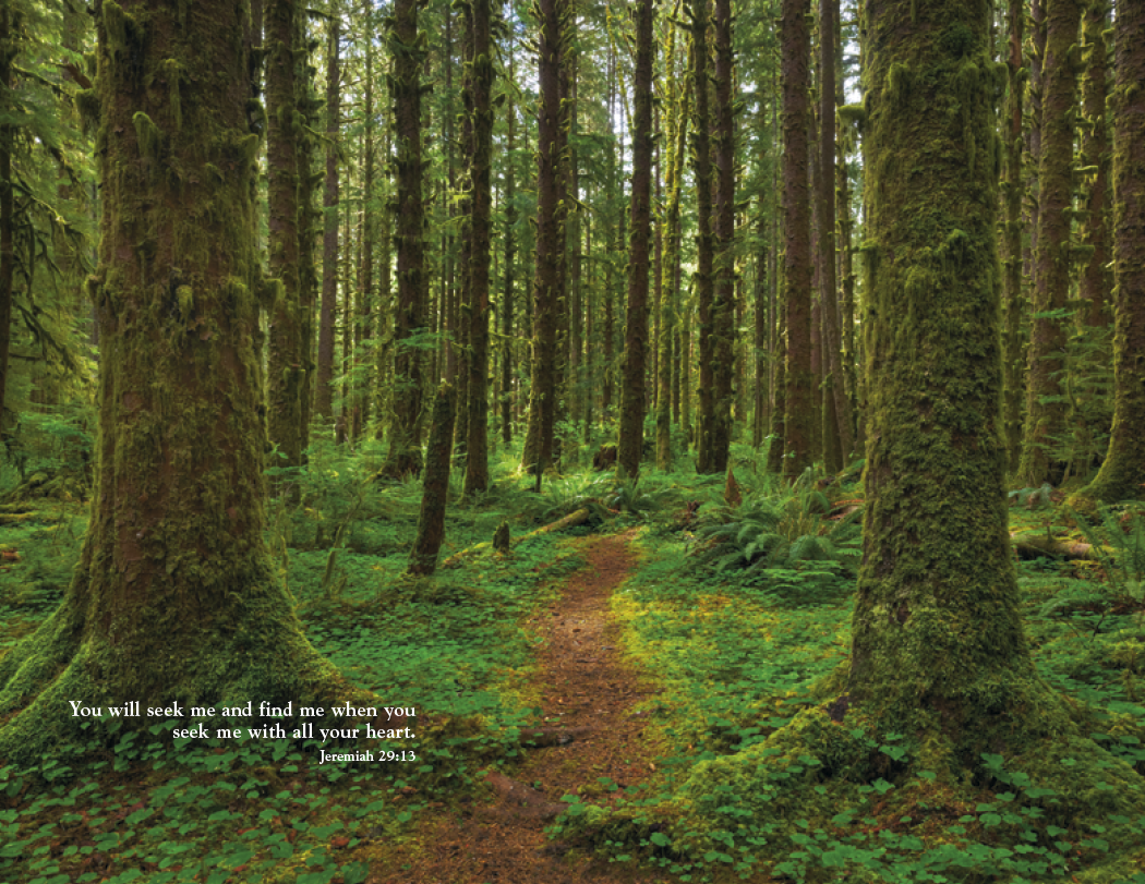 Triumph® Calendars World of Inspiration Calendar 27