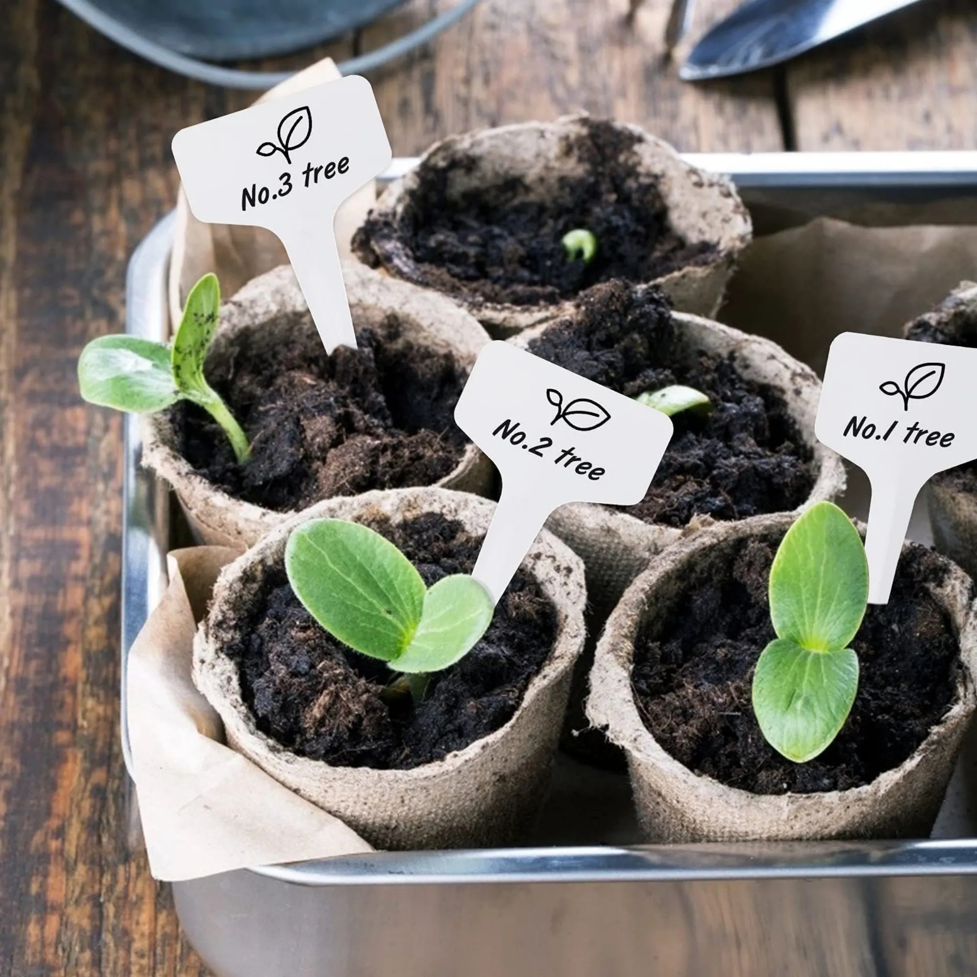 PVC Plant Labels Garden Markers 13