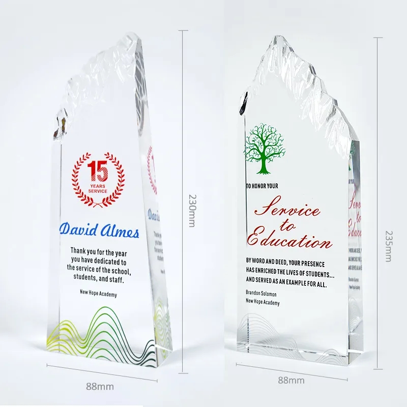 Recognition Crystal Iceberg Award 5
