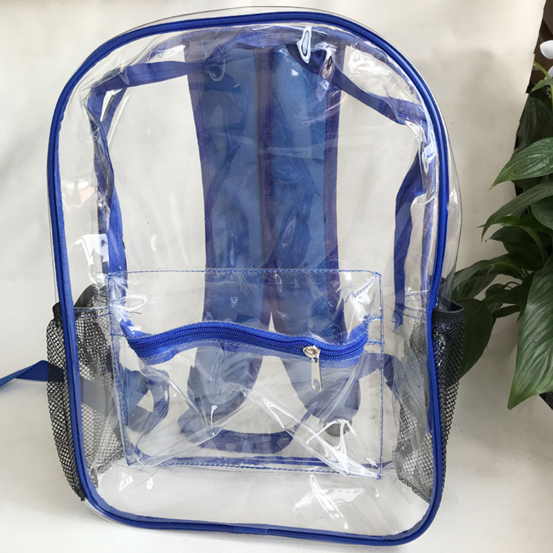 Clear Backpacks 3