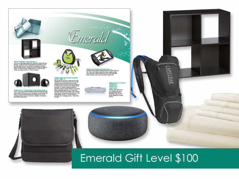 $100 Gift of Choice (Emerald Level) Gift Card