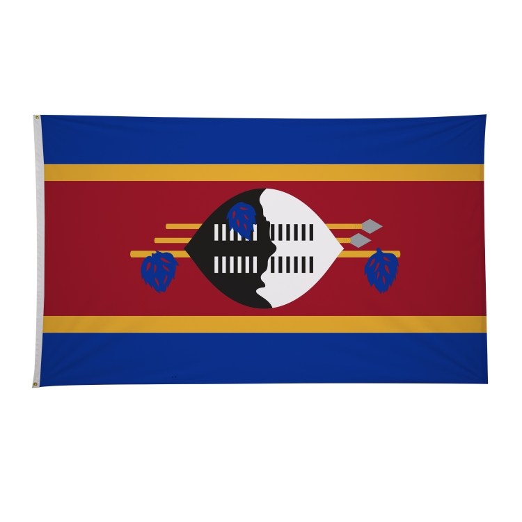 6' x 10' International Flags 17