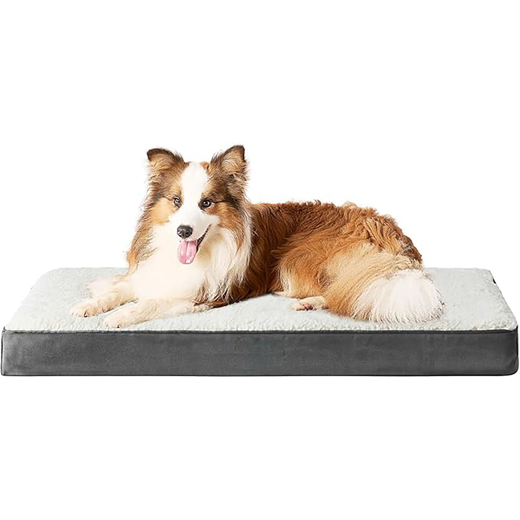 Dog Beds 11