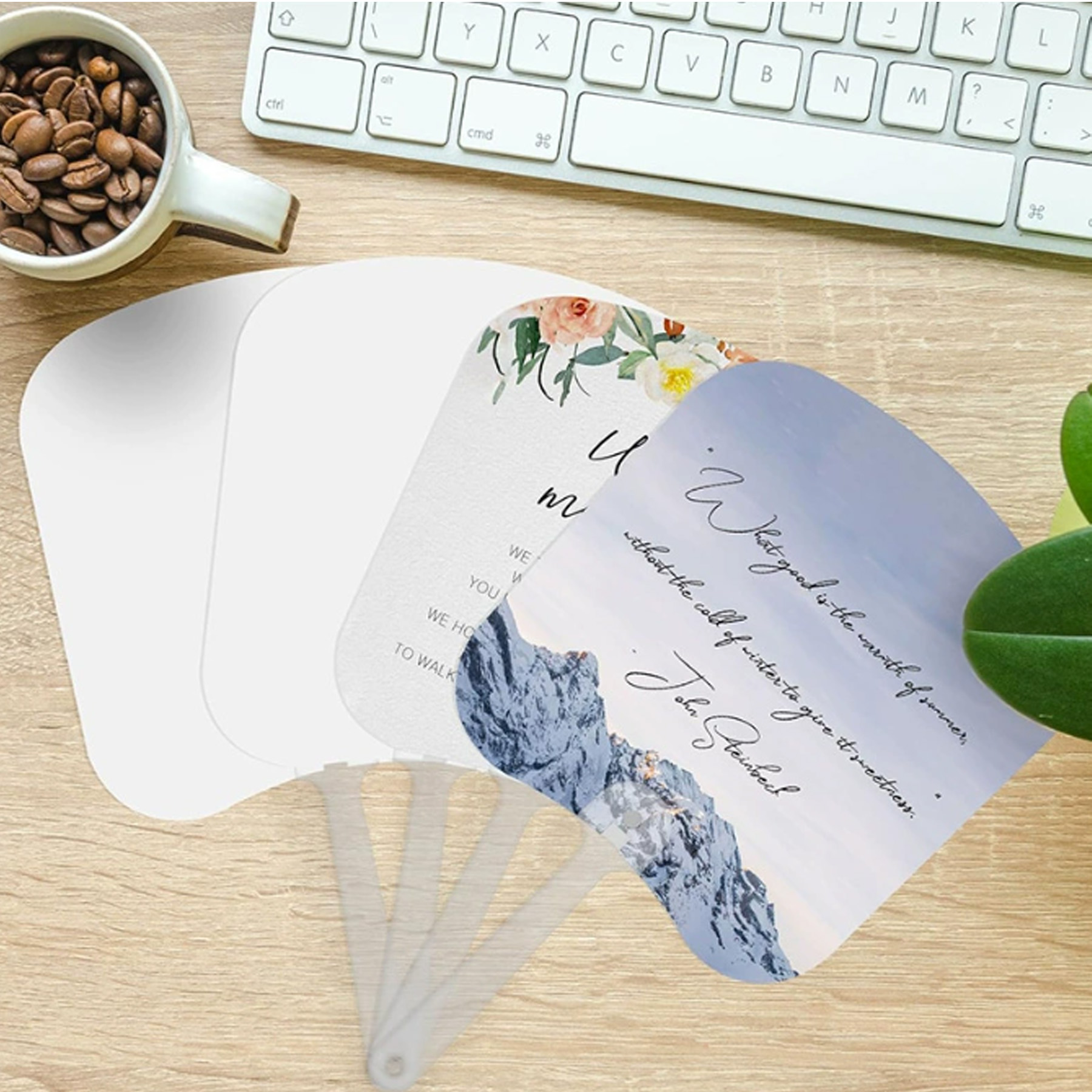 Double-sided Sublimation Plastic Fans 3
