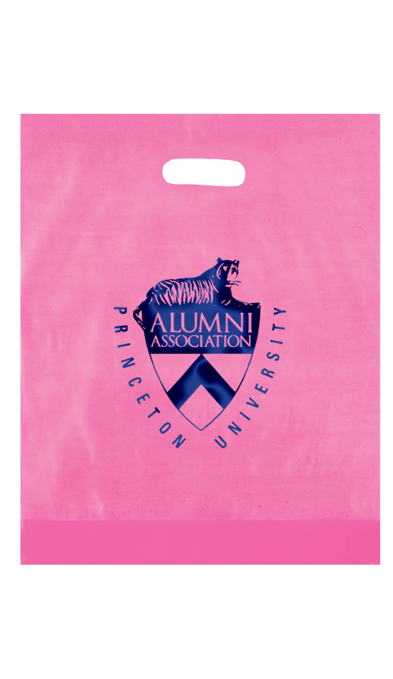 Non Reinforced HDPE Frosted Die Cut Bag 3