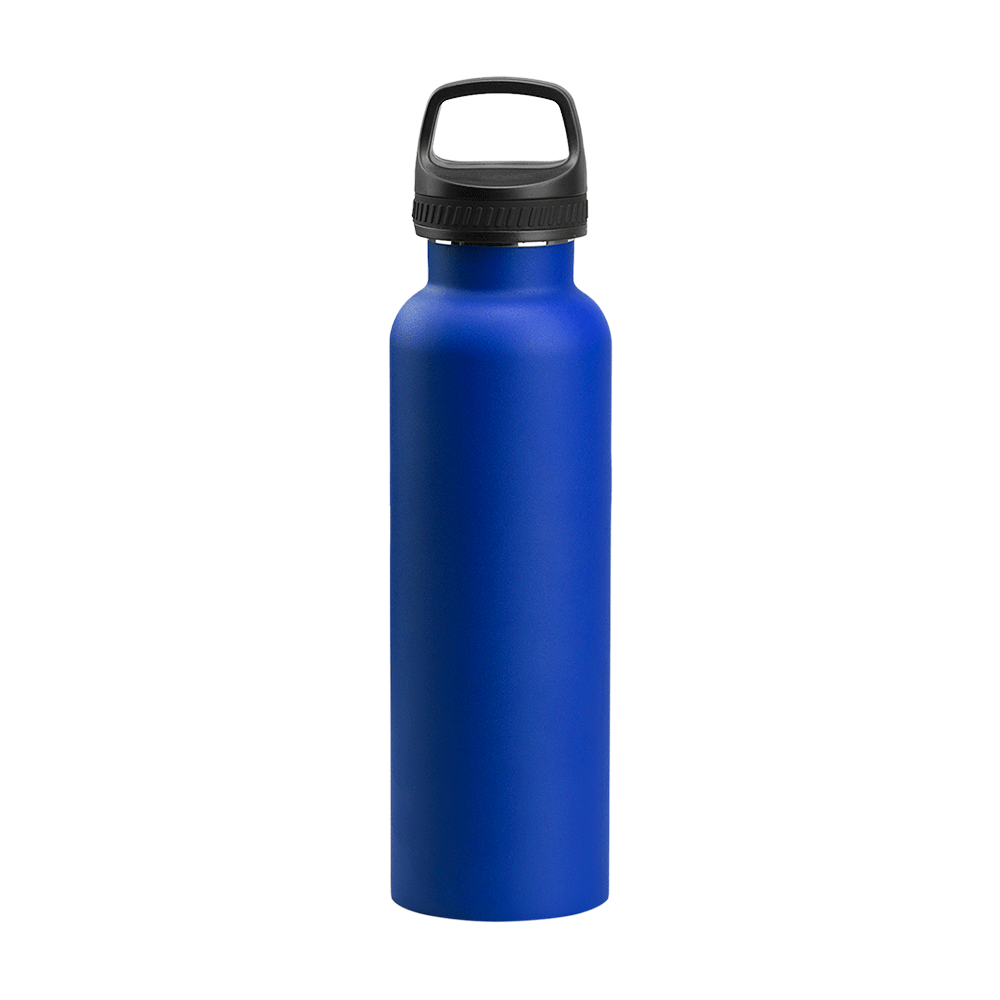 Santa Ana 20oz Insulated Bottle 35