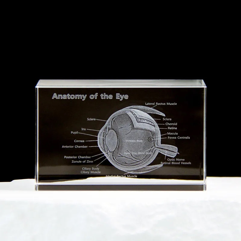 Custom 3D Crystal Photo with LED Light Base 8