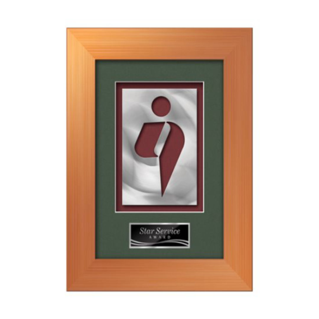 Premier Aquashape™ Award - Bronze 2