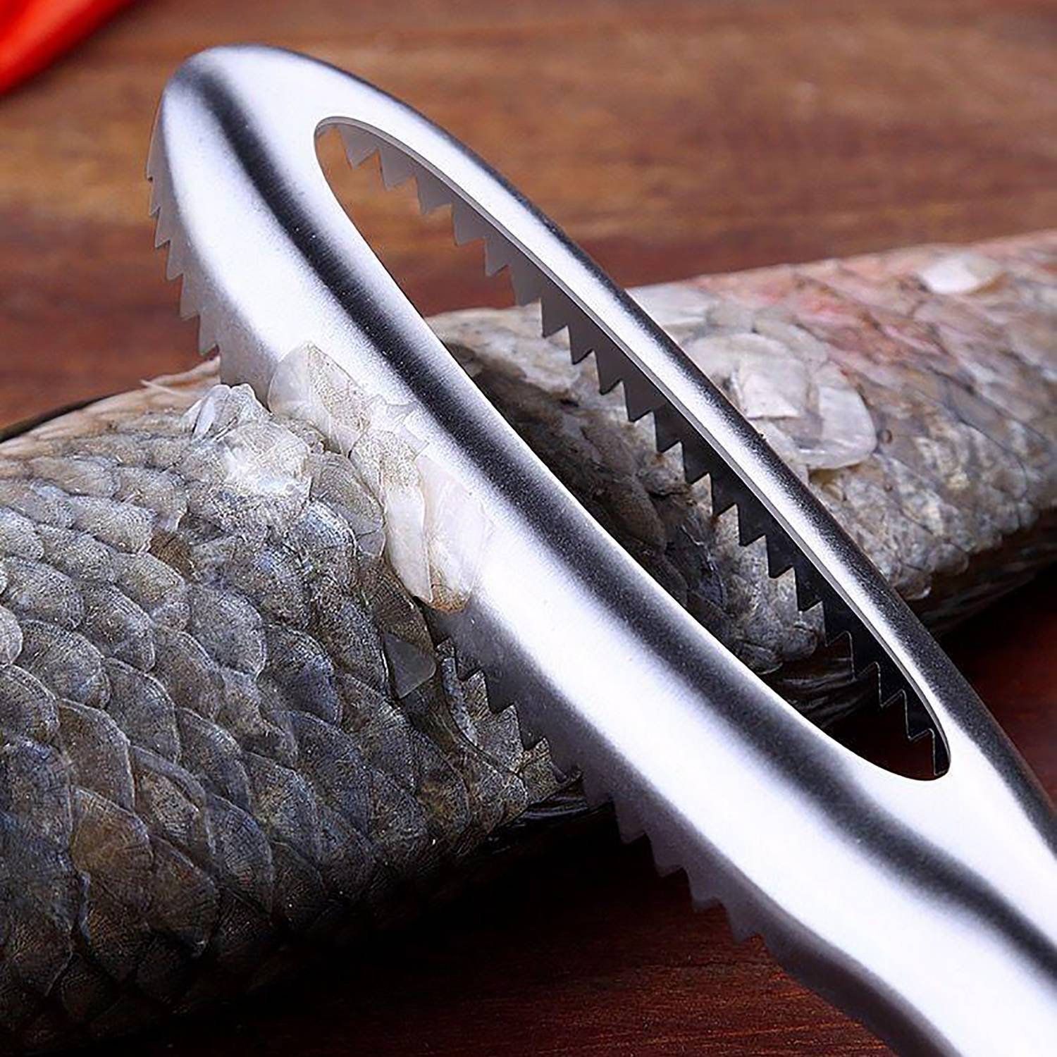 Stainless Steel Fish Scale Remover 3